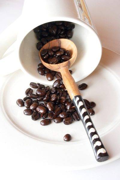 Coffee Scoop with Batik Bone Handle 2 Coffee Scoop with Batik Bone Handle