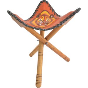 Camping Stool (Lion closeup)