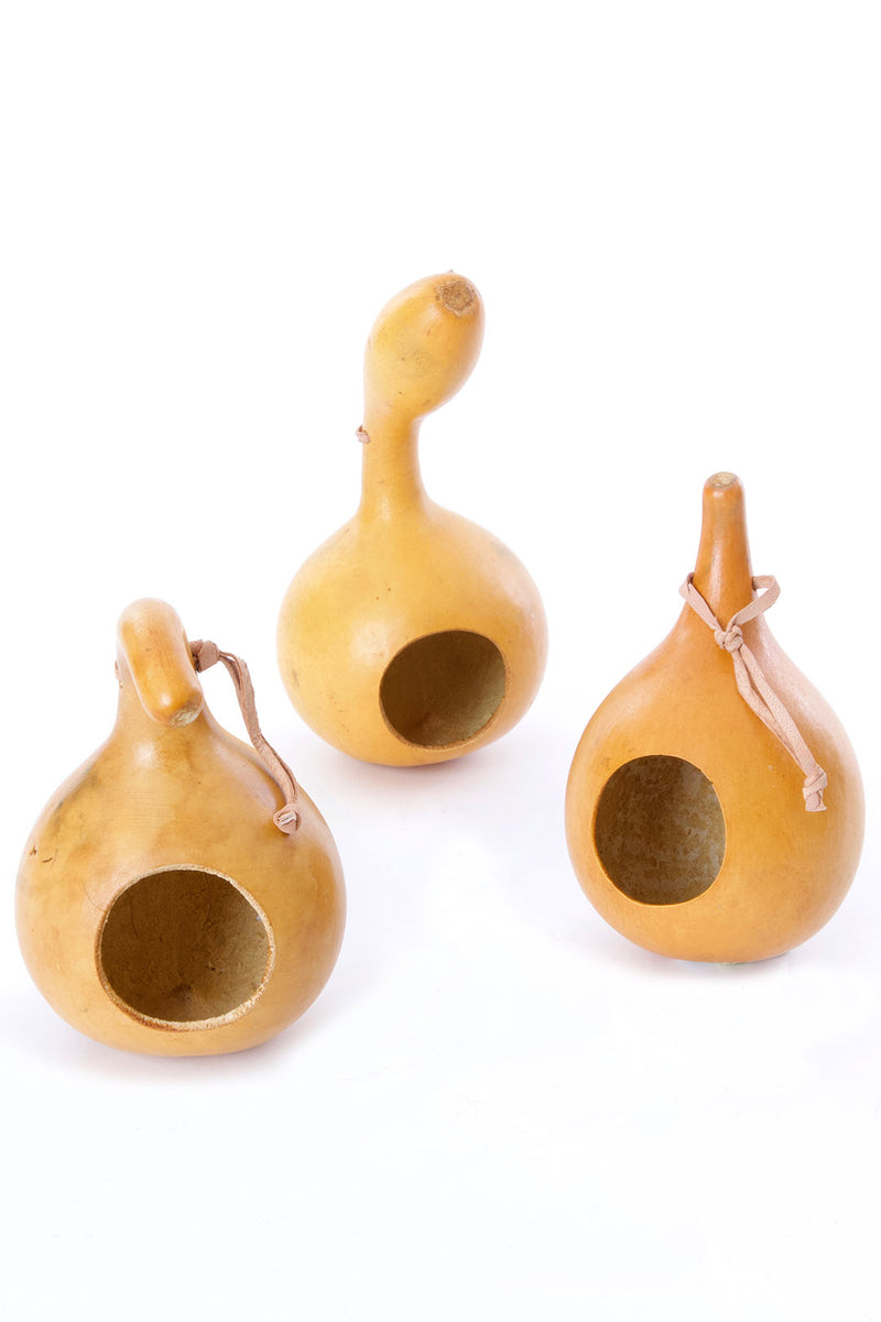 All Natural Calabash Gourd Bird House with Leather Hanging Loop 2 All Natural Calabash Gourd Bird House with Leather Hanging Loop