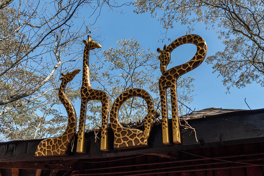 Souvenir
  Shopping in Bahamas